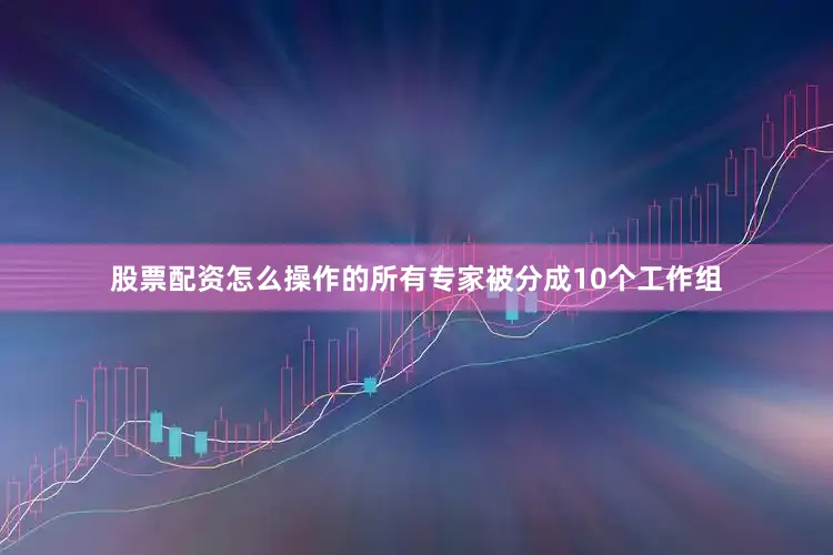 股票配资怎么操作的所有专家被分成10个工作组