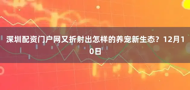深圳配资门户网又折射出怎样的养宠新生态?12月10日