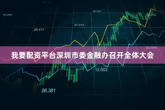 我要配资平台深圳市委金融办召开全体大会
