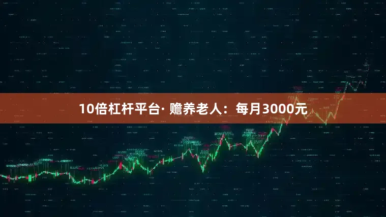 10倍杠杆平台· 赡养老人:每月3000元
